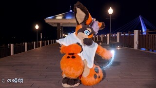 【Fursuit Dance】Bintang biru!Dumbo / Danbo