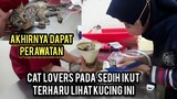 Kucing Jalanan Minta Tolong Di Obati Karena Kakinya Sakit Part 2 Sudah Di Rawat Di Amore Klinik..!