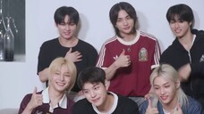 [Phụ đề tiếng Trung] MV Reaction của StrayKids Chk Chk Boom