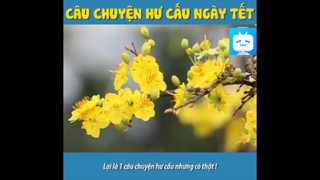 CÂU CHUYỆN HƯ CẤU NGÀY TẾT #funny