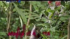 BIMA SATRIA GARUDA Episode 6 English Subtitle