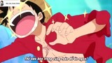 Luffy lần đầu gặp công chúa tiên cá [AMV] #anime #onepiece #daohaitac