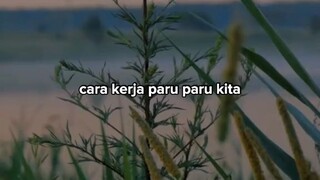 Subhanallahi wabihamdihi Subhanallahil adzim, Assalamualaikum warahmatullahi wabarakatuh semuanya