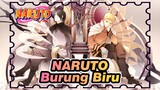 NARUTO | [Cover] Lagu Tema Naruto - Burung Biru