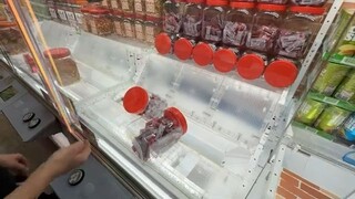 Winning Food from Claw Machines in Japan!