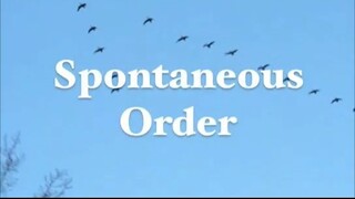 John Stossel - Spontaneous Order