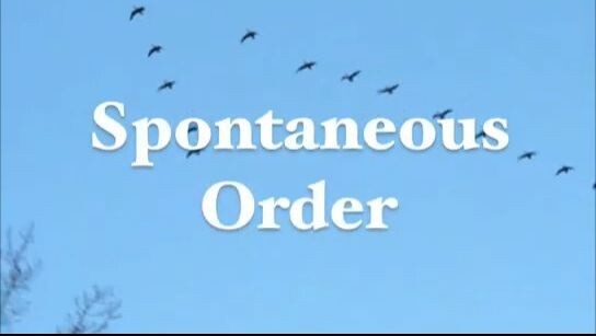 John Stossel - Spontaneous Order