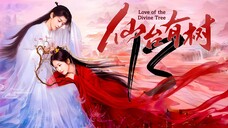 EP13 LOTDT: Sendai Tree (2025)