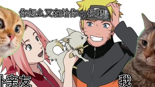 【日常】一位鸣樱人的嗑CP心路历程｜猫meme