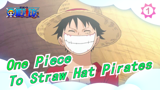 [One Piece/AMV/Emotional] To Straw Hat Pirates, Reminiscing - Memories_1