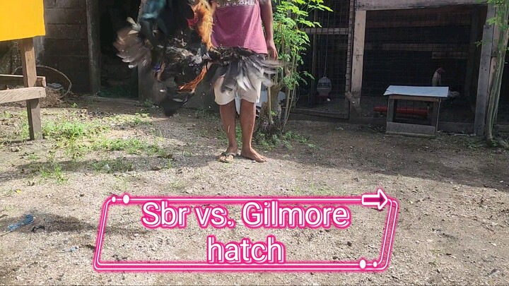 SBR vs. GILMORE HATCH