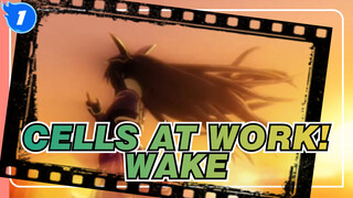 [Cells at Work!/Mixed Edit] Let's Start a Battle (Love) - Wake_1