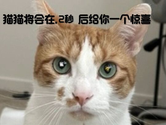 陌生人希望你能看完