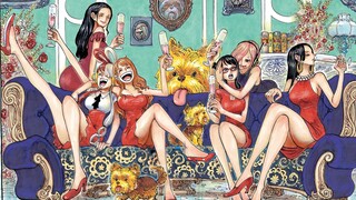 【ONE PIECE】B站史上最全海贼王彩页合集 第三弹