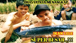 DHASYATNYA MENANGKAP|IKAN LELE.SUPER BESAR..!!!