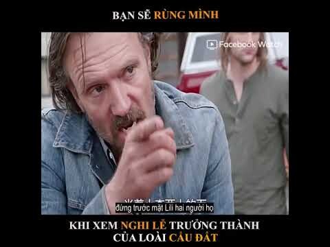 Review Phim : Nghi Lễ Cẩu Đất