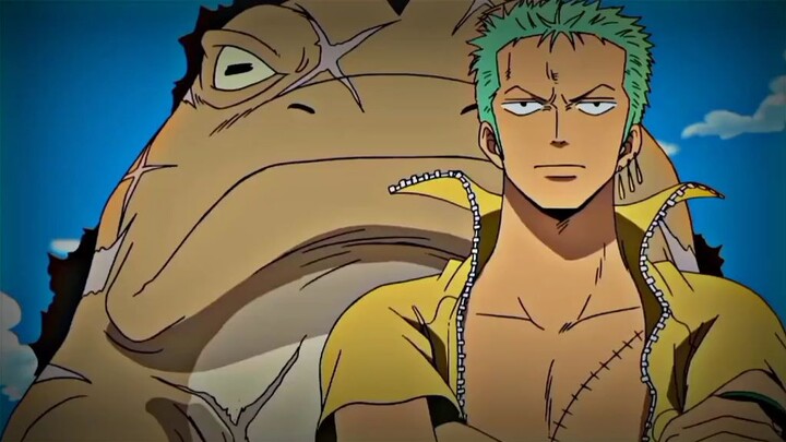 kelakuan zoro random🗿