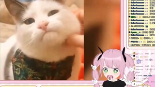 ก็อบลินญี่ปุ่นดู "แมว ฉันไม่ใช่คนใจดีนะ!"