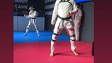 virtual taekwondo