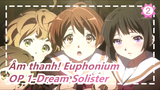 Âm thanh! Euphonium |OP 1-Dream Solister_2