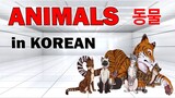 ANIMALS IN KOREAN 동물 - Korean Vocabulary AJ PAKNERS