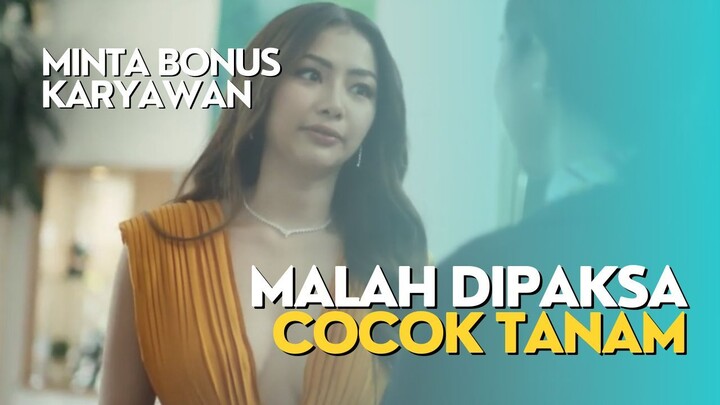 BERCOCOK TANAM BERANTAS KEMISKINAN - ALUR FILM FILIPINA