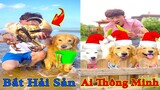 Thú Cưng TV | Gia Đình Gâu Đần #29 | Chó Golden thông minh vui nhộn | Pets funny cute dog
