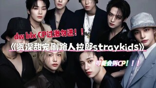 《资深甜宠剧路人拉郎straykids》我选的图好黑社会。。。