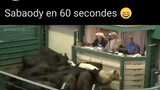 Sabaody In 60 Seconds (50 Seconds 😑)