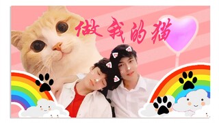 【JT/Mii2】【SaifahZon】做我的猫·let you be my cat （糖点混剪）