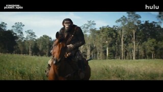 Kingdom of the Planet of the Apes