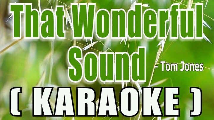 That Wonderful Sound ( KARAOKE ) - Tom Jones