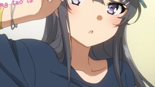 [Youth Pig-headed Boy/Thousand-layer Routine] Thousand-layer Routine of Mai Sakurajima~