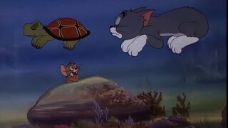 Tom and Jerry猫与人鱼鼠