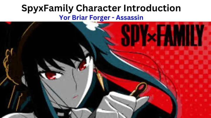 Spy Character: Yor Forger - Assassin