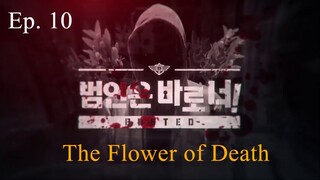 BUSTED! Season 2: Episode 10 (The Flower of Death)