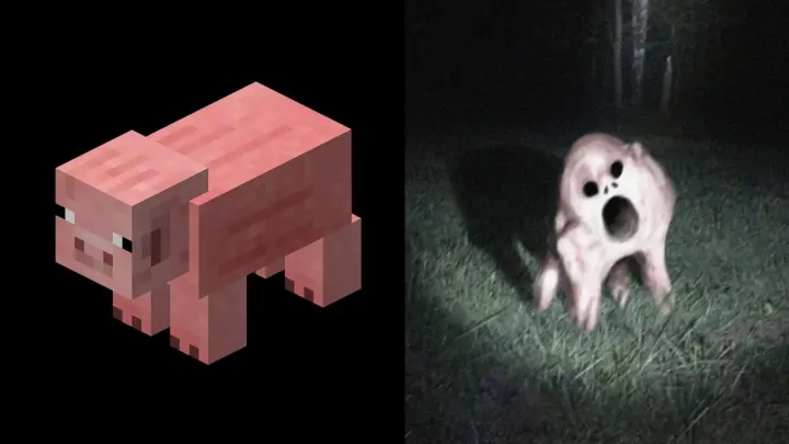 Minecraft Mobs in Real Life