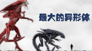 异形体型大小比较