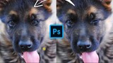 Magic of Clone Stamp Tool in Photoshop 2022