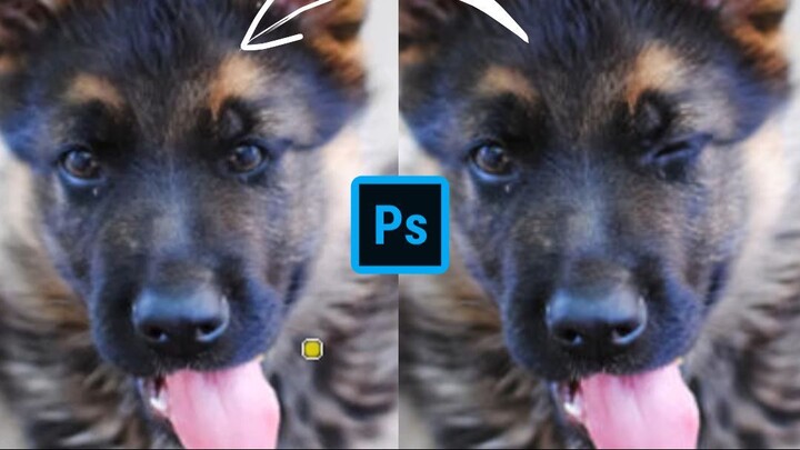 Magic of Clone Stamp Tool in Photoshop 2022