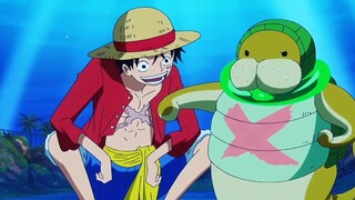 Đệ tử cũ của Luffy "Kung Fu Manatee"