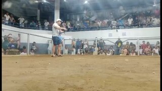 CHAMPION TRIO BLACK @ MAASIN COCKPIT ARENA SUPER 3-WINS  HYBRID 300K | 2ND FIGHT