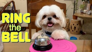 Ring the Bell, Get the Treat! ( It's Cuteness Overload)