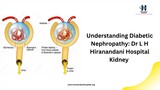 Understanding Diabetic Nephropathy Dr L H Hiranandani Hospital Kidney