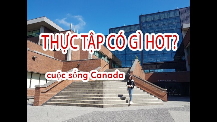 Thực Tập - Coop Có Gì Hay? // Cuộc Sống Canada - Vlog 12