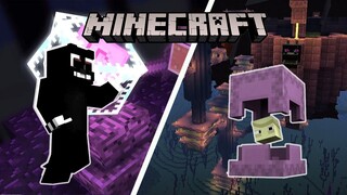 Minecraft Mencari Shulker