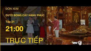 TRỰC TIẾP VTV1 | TẬP 21: Dưới Bóng Cây Hạnh Phúc