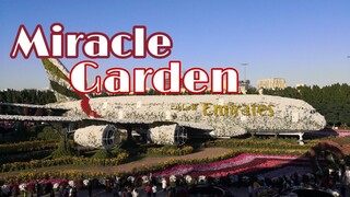 MIRACLE GARDEN DUBAI 2020 | AMAZING PLACE YOU SHOULD VISIT