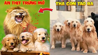 Thú Cưng Vlog | Trứng Bạc Và Trứng Vàng #34 | Chó gâu đần thông minh vui nhộn | Funny pets smart dog