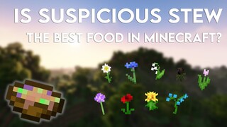 Suspicious Stew is The Best Food in Minecraft 1.19